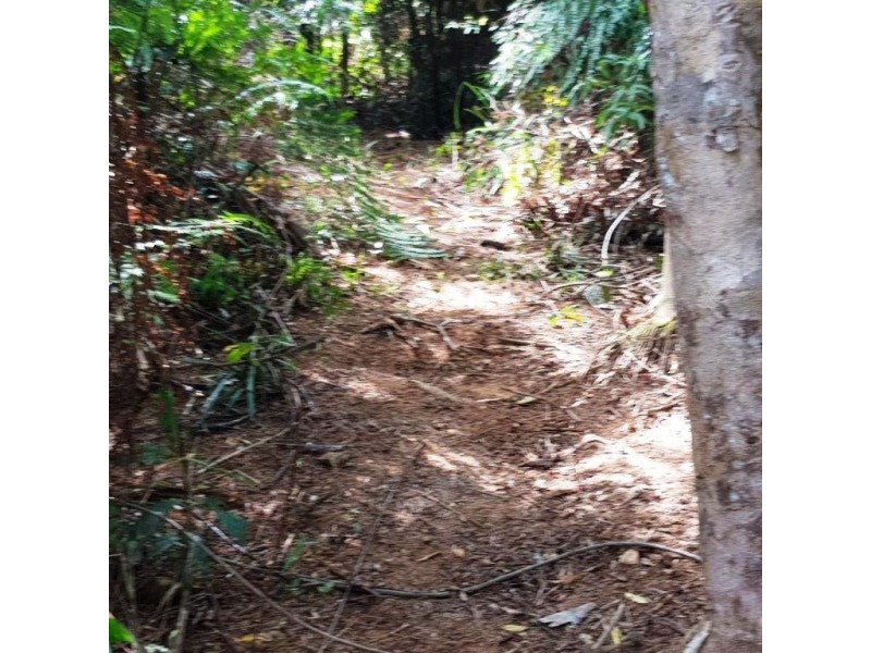 2 Forest Creek Road, Daintree QLD 4873