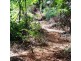 2 Forest Creek Road, Daintree QLD 4873