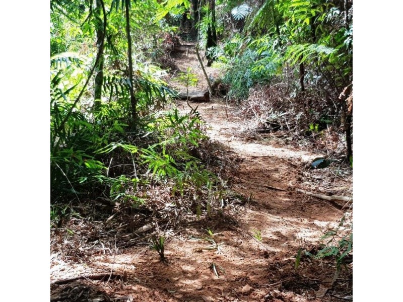 2 Forest Creek Road, Daintree QLD 4873