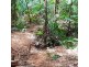 2 Forest Creek Road, Daintree QLD 4873