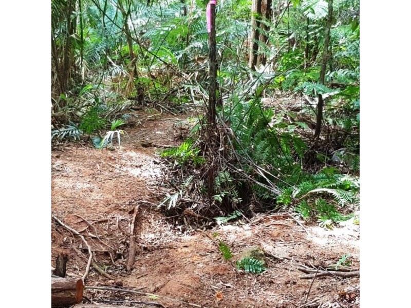 2 Forest Creek Road, Daintree QLD 4873