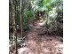 2 Forest Creek Road, Daintree QLD 4873
