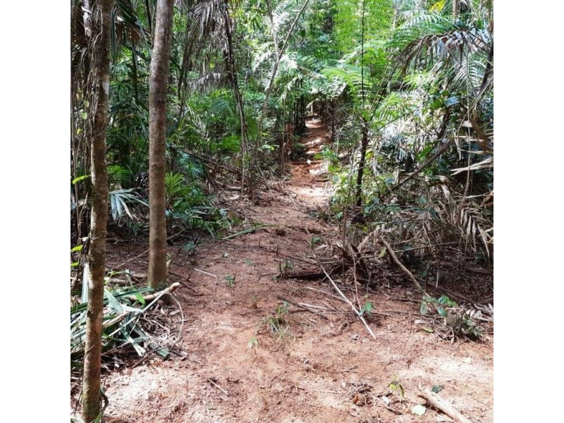 2 Forest Creek Road, Daintree QLD 4873