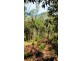 2 Forest Creek Road, Daintree QLD 4873