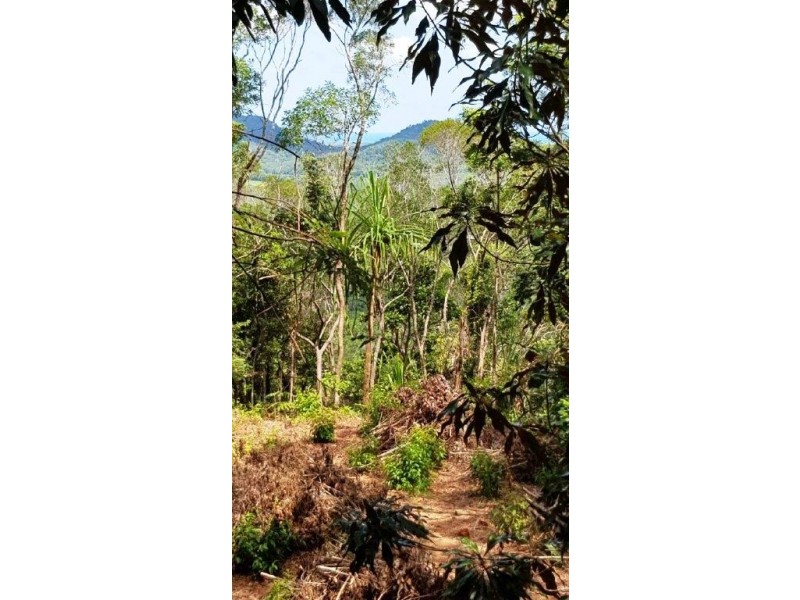 2 Forest Creek Road, Daintree QLD 4873