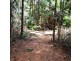2 Forest Creek Road, Daintree QLD 4873
