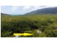 6 White Beech Road, Daintree QLD 4873