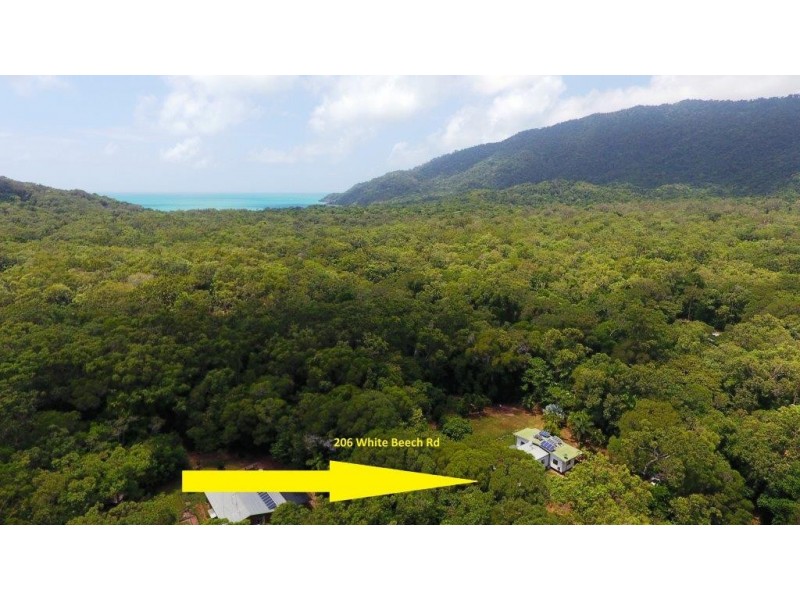 6 White Beech Road, Daintree QLD 4873