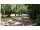 6 White Beech Road, Daintree QLD 4873