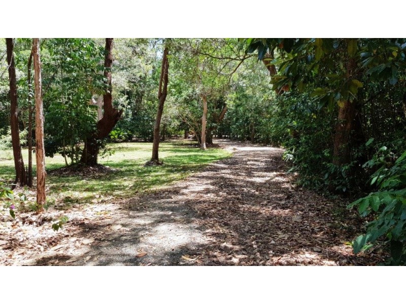 6 White Beech Road, Daintree QLD 4873