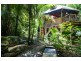 109 Camelot Close, Daintree QLD 4873