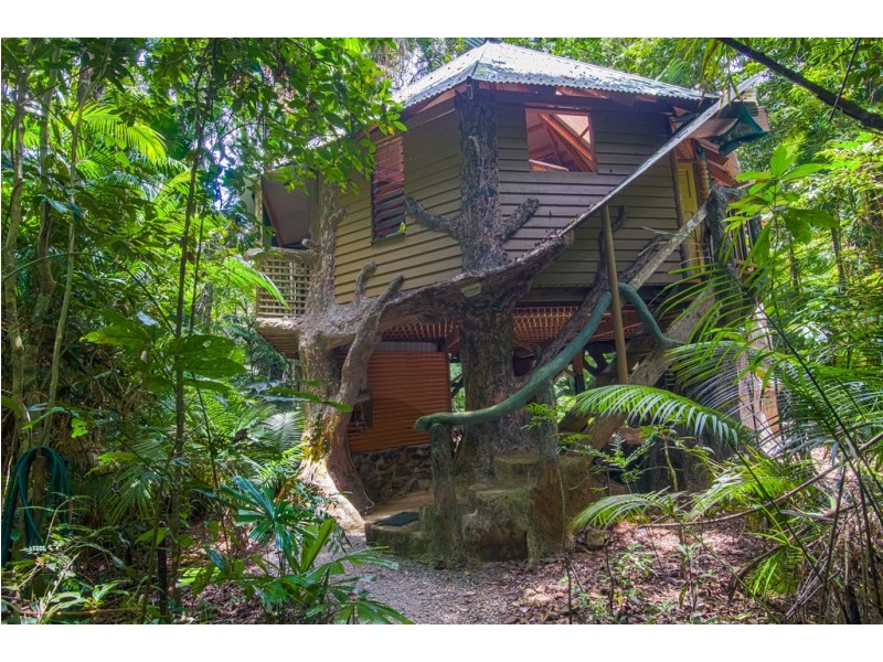 109 Camelot Close, Daintree QLD 4873