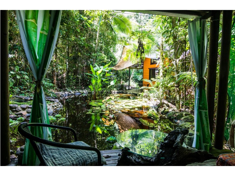 109 Camelot Close, Daintree QLD 4873