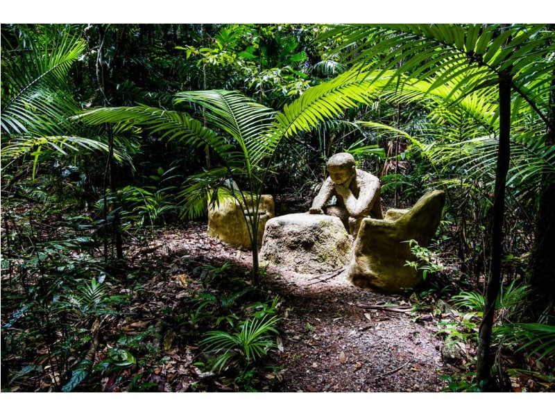 109 Camelot Close, Daintree QLD 4873