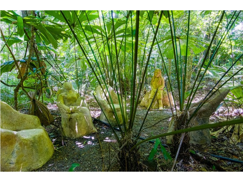 109 Camelot Close, Daintree QLD 4873