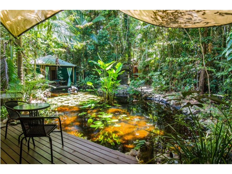 109 Camelot Close, Daintree QLD 4873