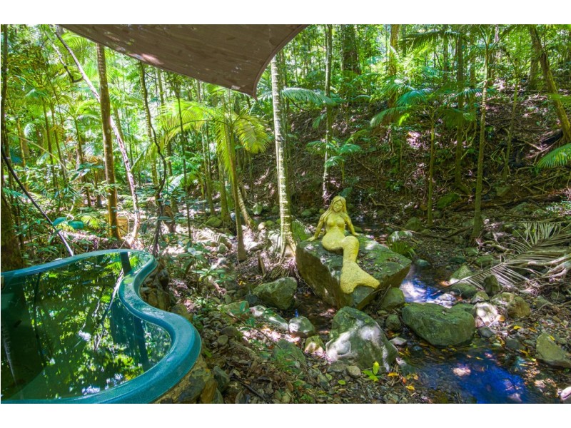 109 Camelot Close, Daintree QLD 4873