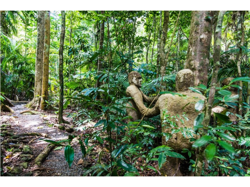 109 Camelot Close, Daintree QLD 4873