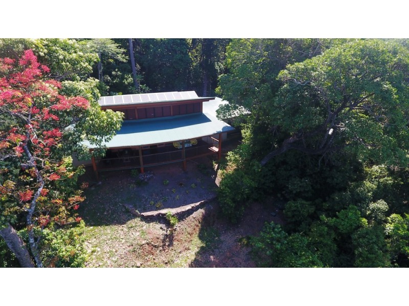 276 Kauri Close, Daintree QLD 4873