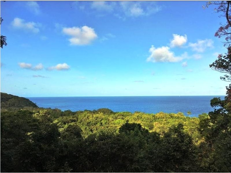 276 Kauri Close, Daintree QLD 4873
