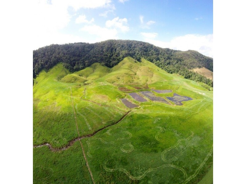 Lot 2 Stewart Creek Road (Stewart Creek Valley), Daintree QLD 4873