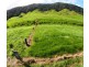 Lot 2 Stewart Creek Road (Stewart Creek Valley), Daintree QLD 4873