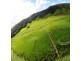 Lot 2 Stewart Creek Road (Stewart Creek Valley), Daintree QLD 4873