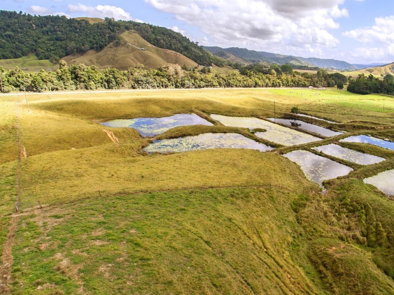 Lot 2 Stewart Creek Road (Stewart Creek Valley), Daintree QLD 4873