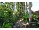 7 CAMELIA CLOSE, Wonga Beach QLD 4873
