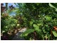 20 Julaji Close, Cooya Beach QLD 4873