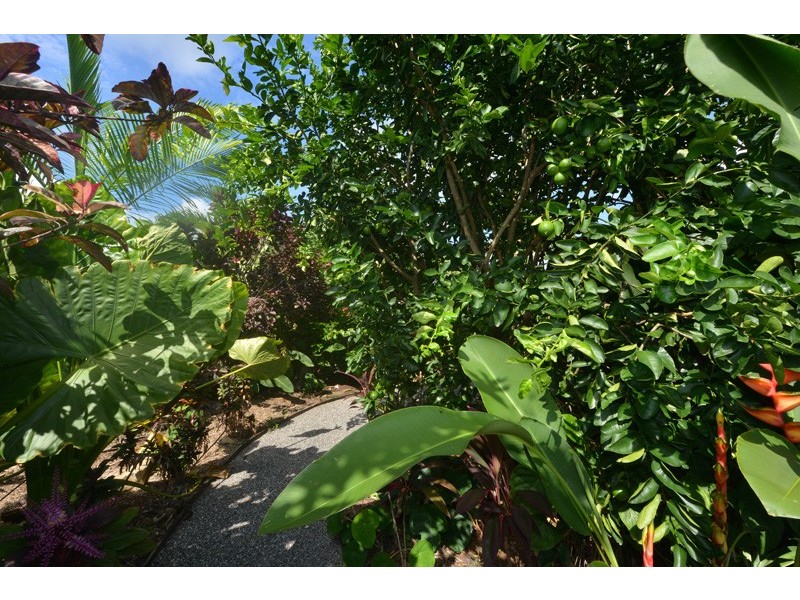 20 Julaji Close, Cooya Beach QLD 4873