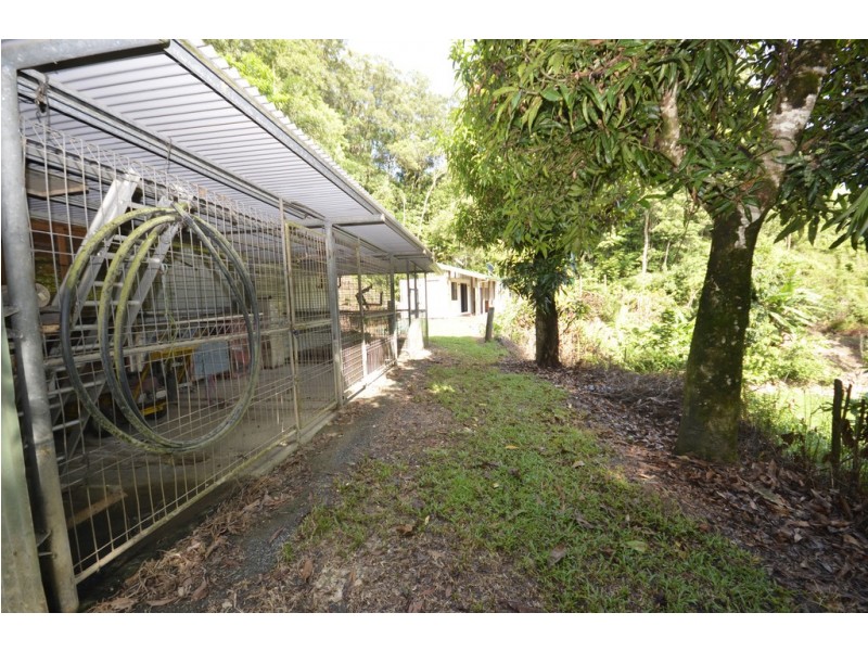 39 Whiteley Road, Miallo QLD 4873