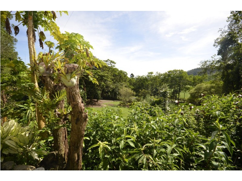 39 Whiteley Road, Miallo QLD 4873