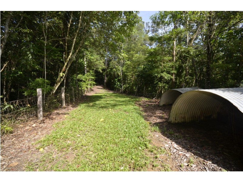 39 Whiteley Road, Miallo QLD 4873