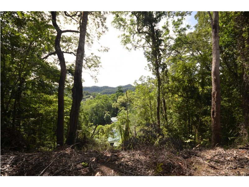 39 Whiteley Road, Miallo QLD 4873