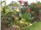 Mossman QLD 4873