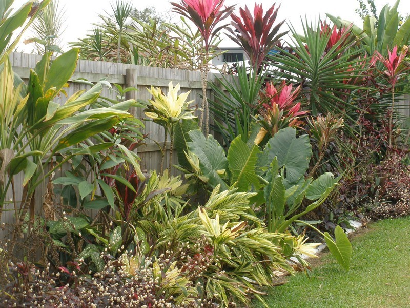 Mossman QLD 4873