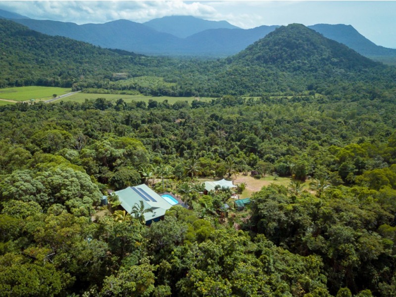 19 Palm Road, Daintree QLD 4873