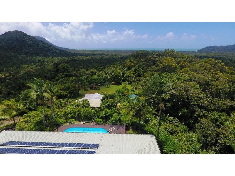 19 Palm Road, Daintree QLD 4873