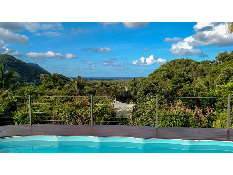 19 Palm Road, Daintree QLD 4873