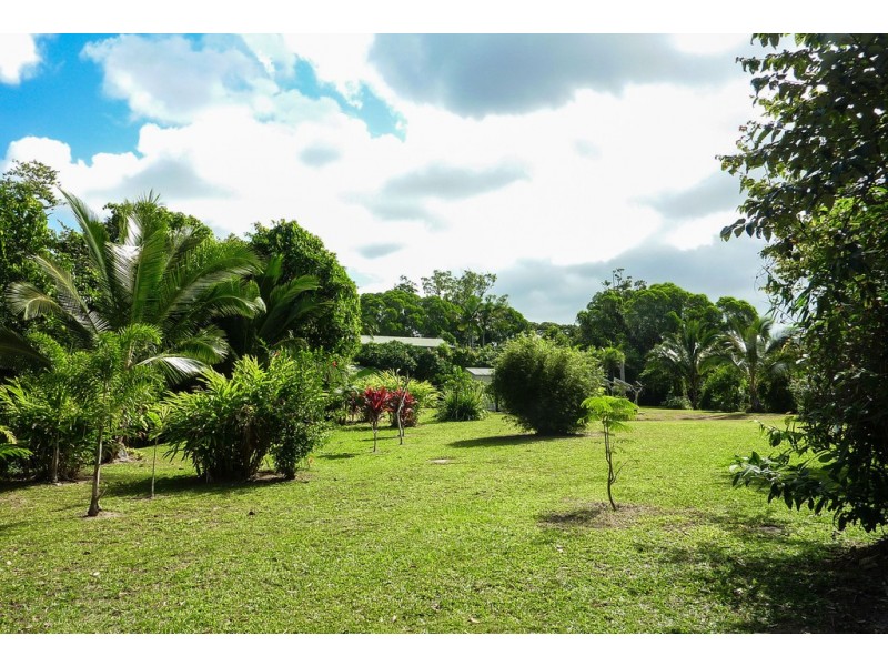 19 Palm Road, Daintree QLD 4873
