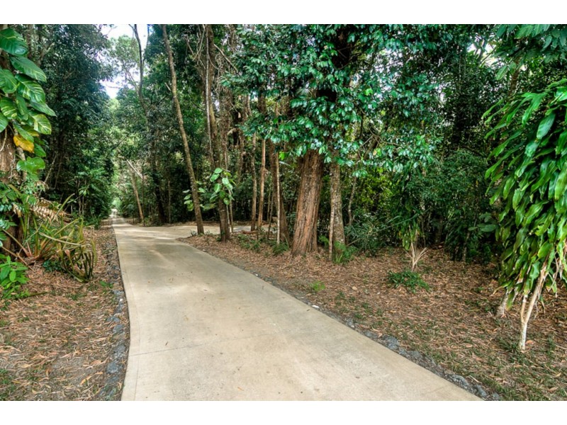 19 Palm Road, Daintree QLD 4873
