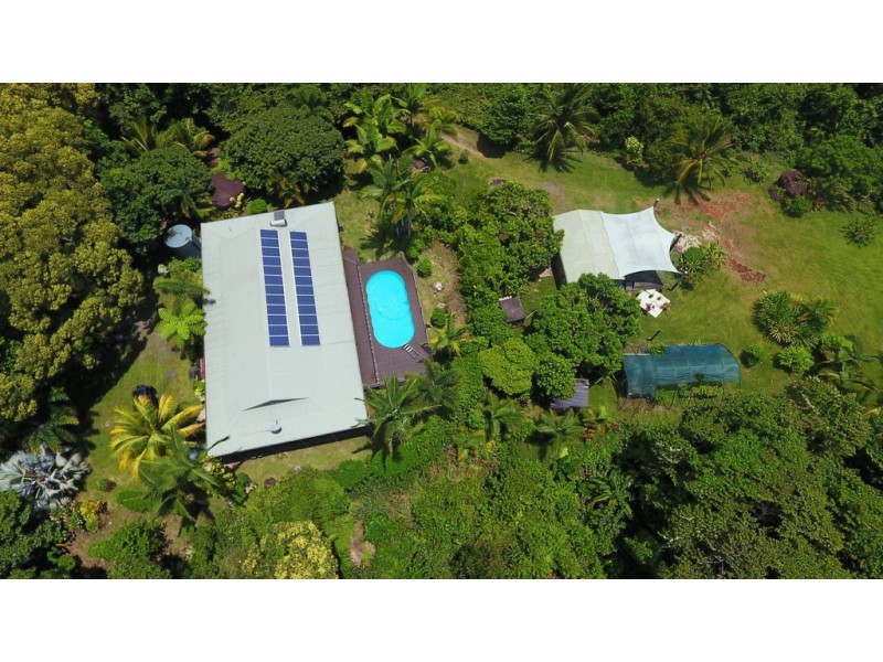 19 Palm Road, Daintree QLD 4873