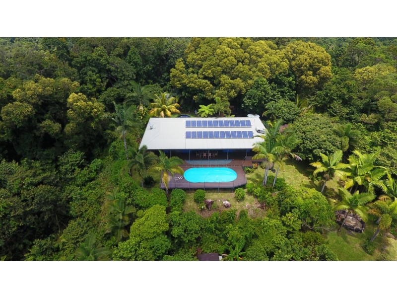 19 Palm Road, Daintree QLD 4873