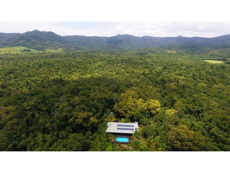 19 Palm Road, Daintree QLD 4873