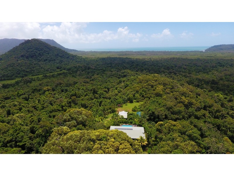 19 Palm Road, Daintree QLD 4873