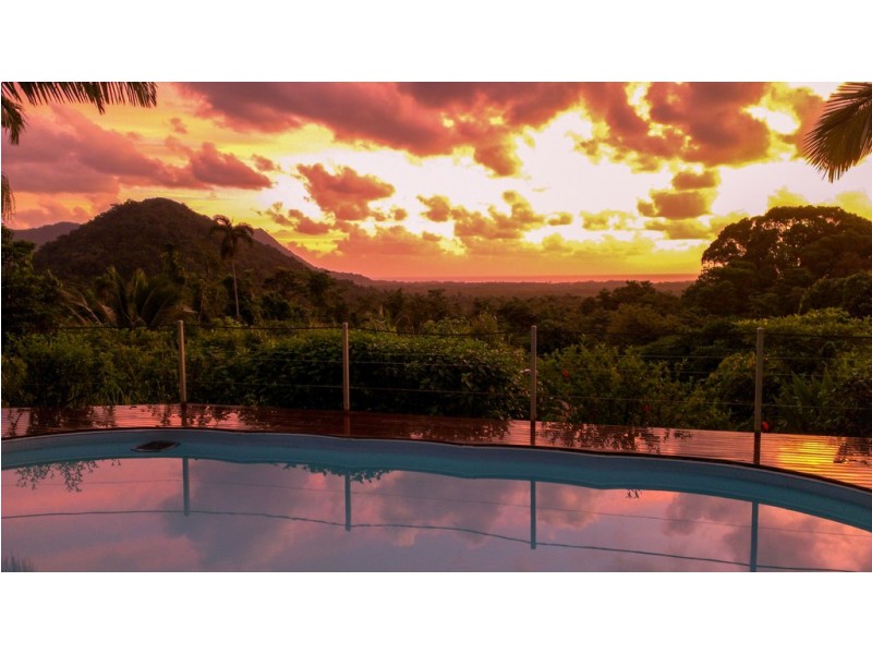 19 Palm Road, Daintree QLD 4873