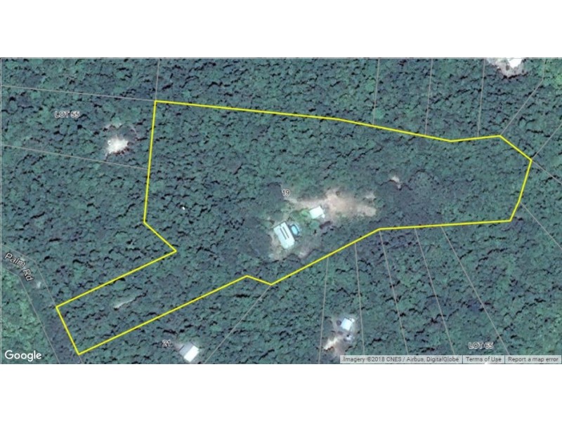 19 Palm Road, Daintree QLD 4873