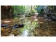 Lot 19 Thornton Pk Drive Forest Creek, Daintree QLD 4873