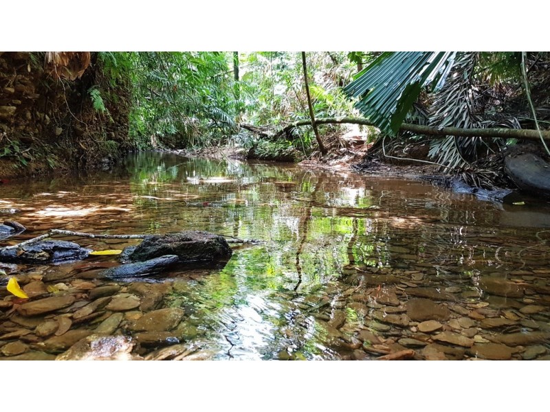 Lot 19 Thornton Pk Drive Forest Creek, Daintree QLD 4873